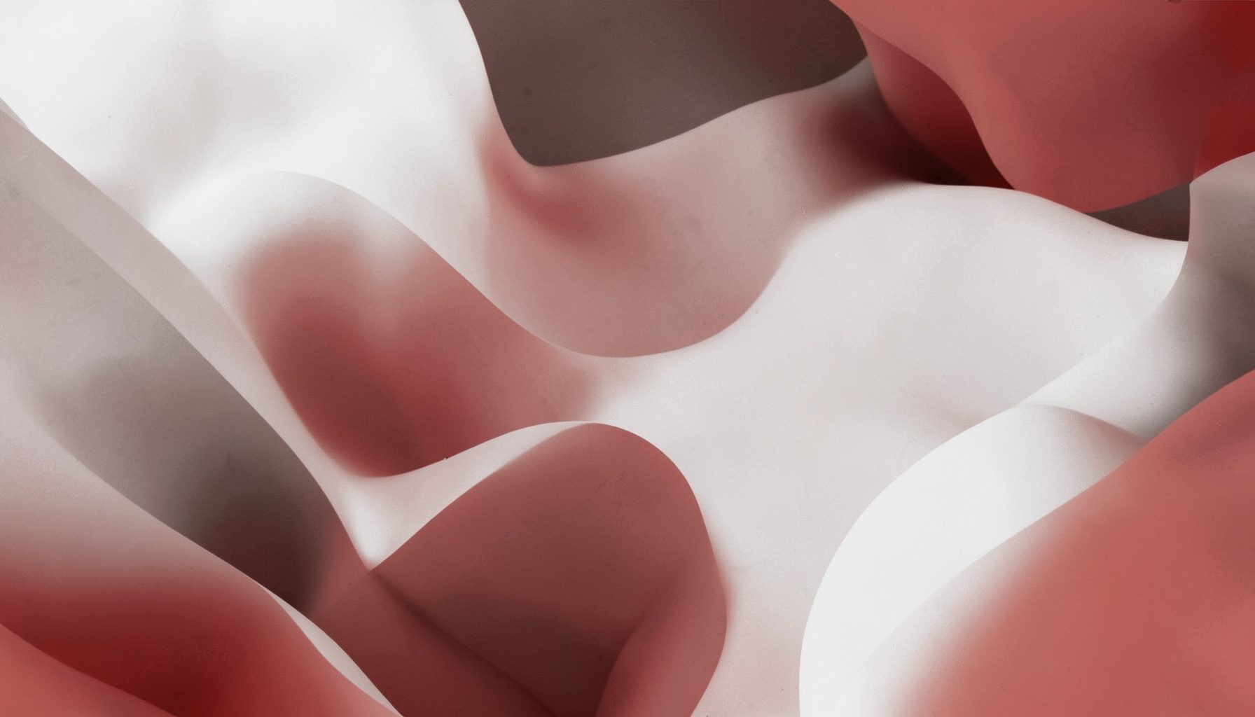 Composizione astratta con forme organiche nei toni del bianco, grigio e terracotta, resa in duotono.