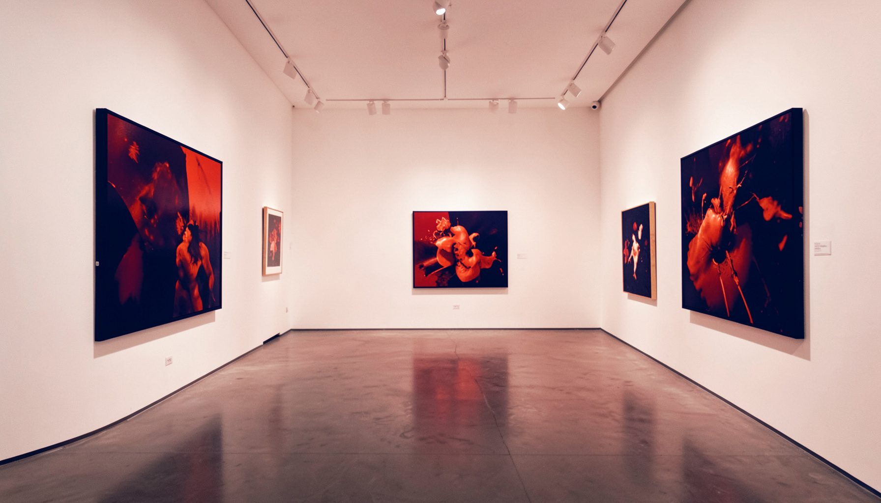 Un interno di galleria d'arte contemporanea con pareti bianche, illuminazione calda e opere astratte esposte, in duotone blu navy e rosso.
